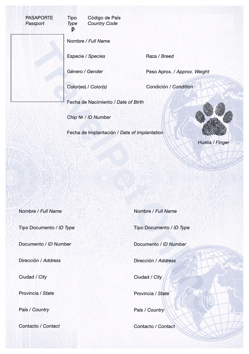 Esquema Pasaporte